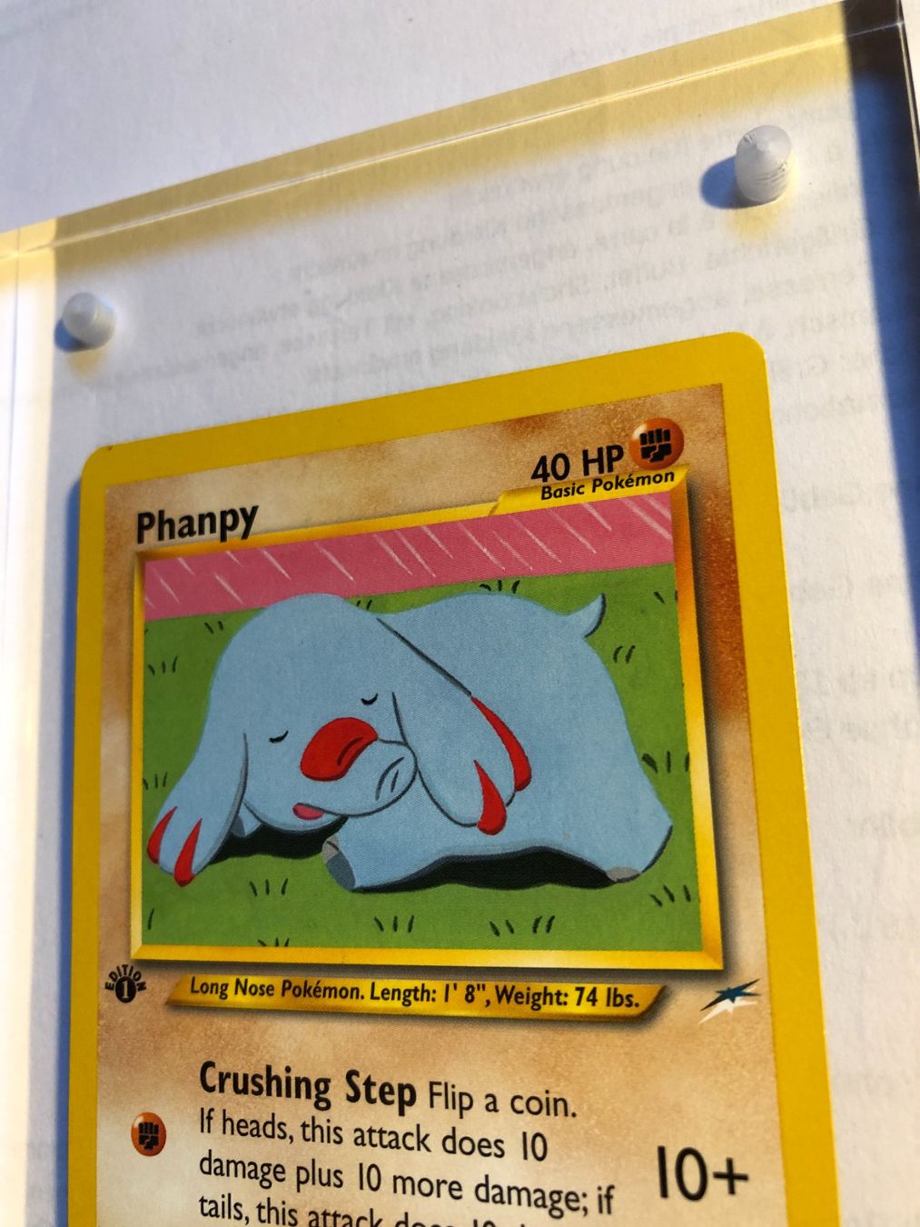 Carte collezionabili: Phanpy 1st Neo Destiny - NM - ab 1.- – Usato da Giubiasco venduto da dan_pr8b 3