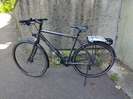 Hochwertiges Price Bike Swiss Customized Gr. 54