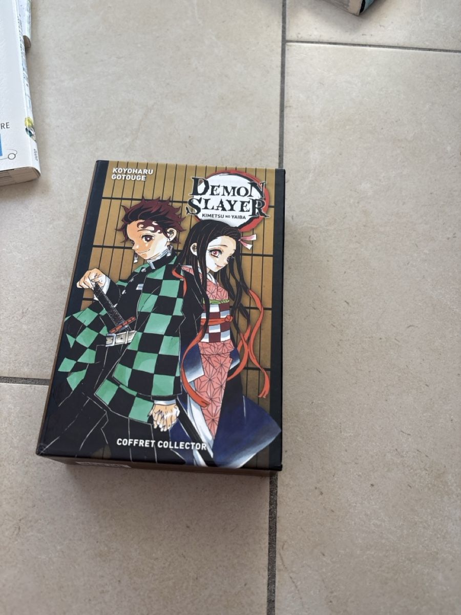 Comics: Demon slayer  – Neu (gemäss Beschreibung) aus Chez-le-Bart von lis_6njv