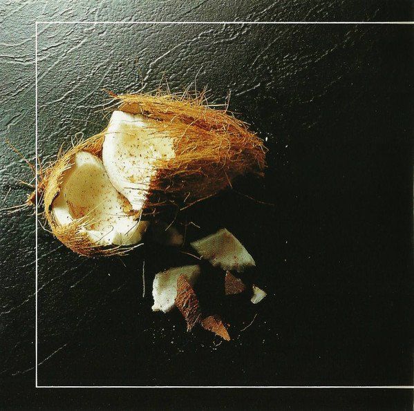 CDs: Jungle – Nuts - Vergriffene Swiss Rock! - b – D'occasion à Brittnau par Zibu 5