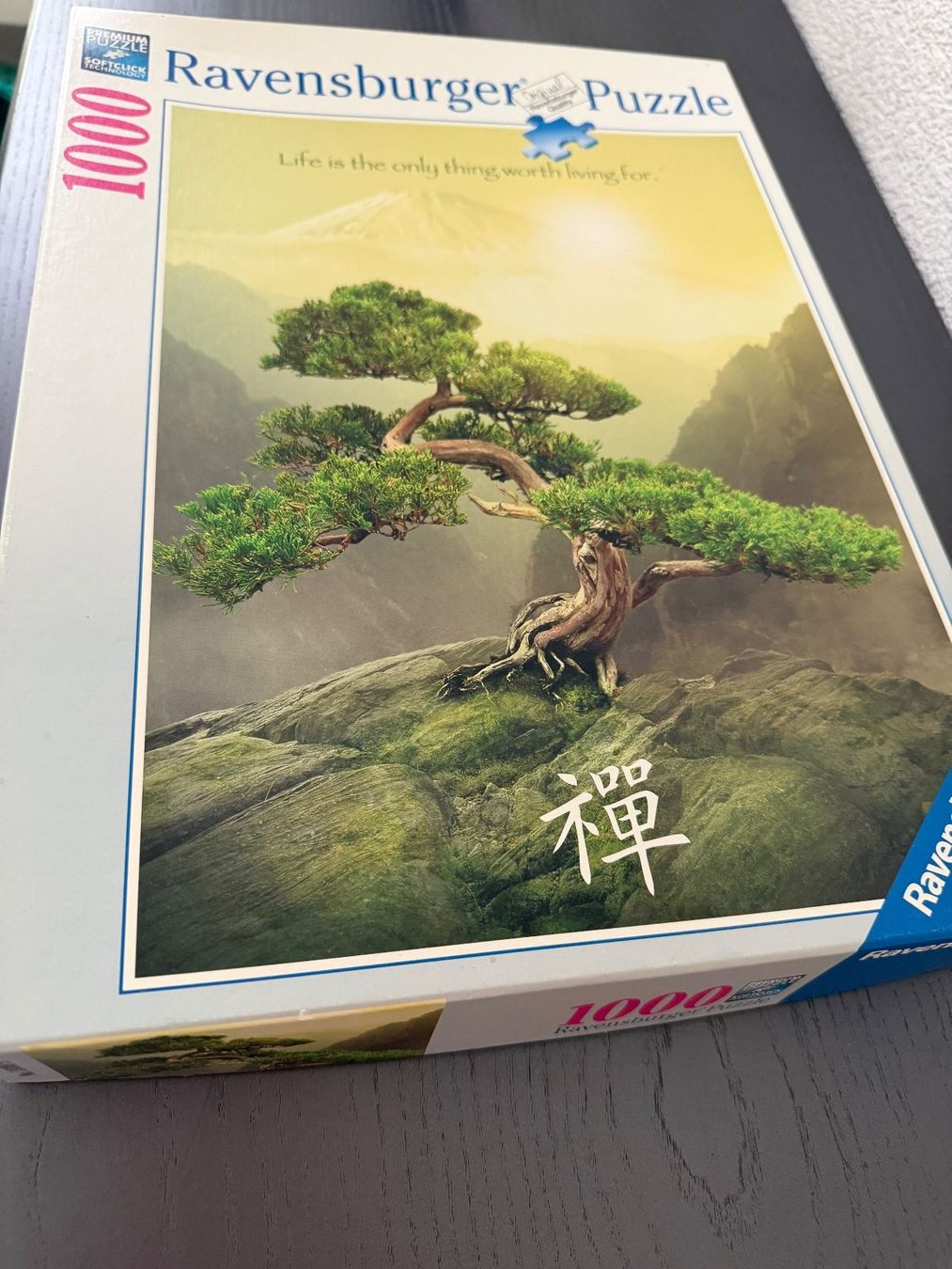 Ravensburger Puzzles: Puzzle 1000 – Gebraucht aus Seltisberg von xel07