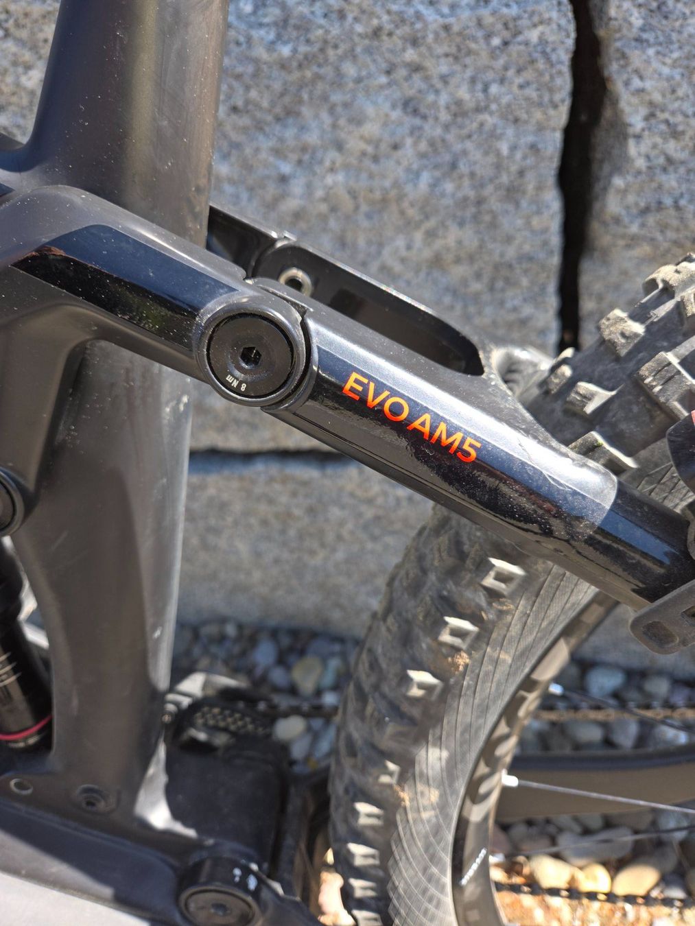 Bulls Biciclette: E-MTB Sonic EVO AM 5 Carbon – Usato da Russikon venduto da Blume0121 1