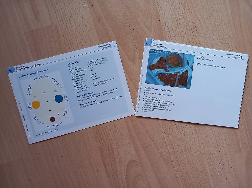 Altro materiale scolastico: Lernkarten Aromatheraphie – Usato da Gwatt (Thun) venduto da Tigi09 1