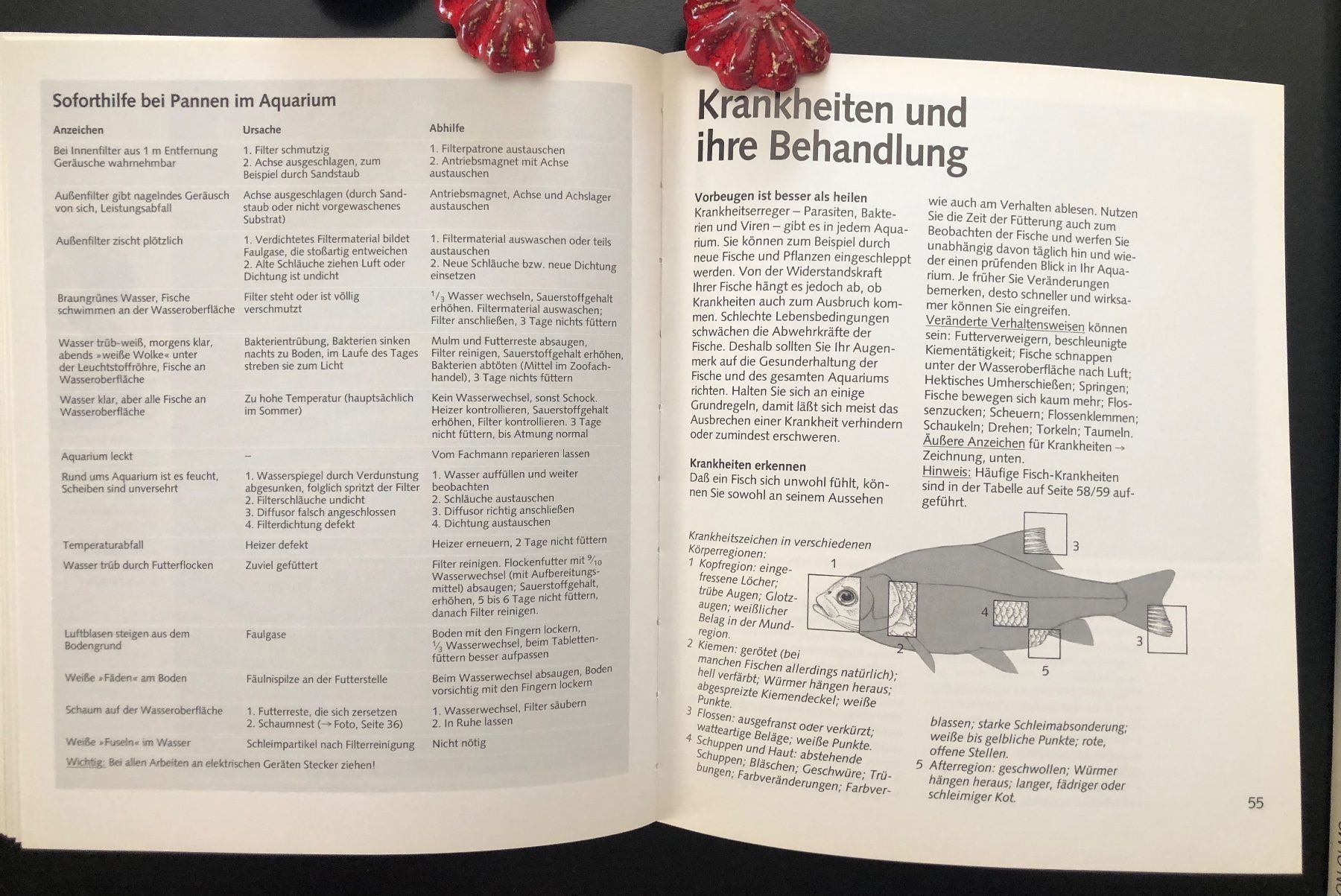 Bücher: Das Aquarium / GU RATGEBER – Gebraucht aus Nussbaumen AG von schuba2000 6