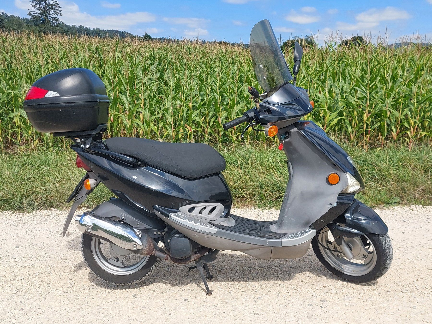 PGO T-Rex T Rex Roller mit Topcase und Windschild (Gebraucht) in ...