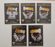 SportZoo National League PO Serie - Champions Glory (5x)
