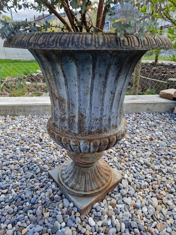 Shabby riesen Amphore antik Pflanzkübel vintage Pflanzgefäss Kaufen