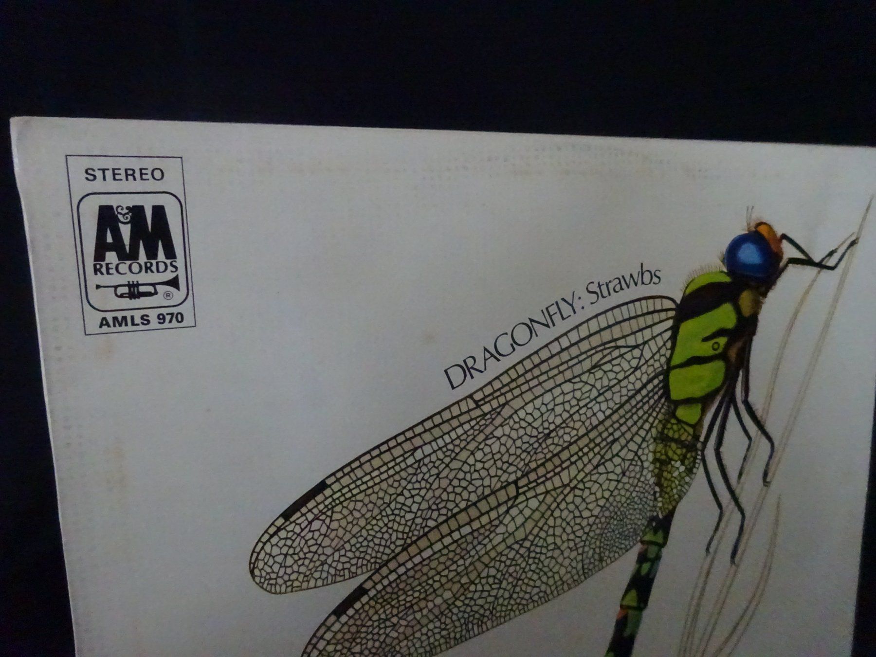 Dischi in vinile: LP Strawbs - Dragonfly von 1970 – Usato da Birmenstorf venduto da Poweroldies 4