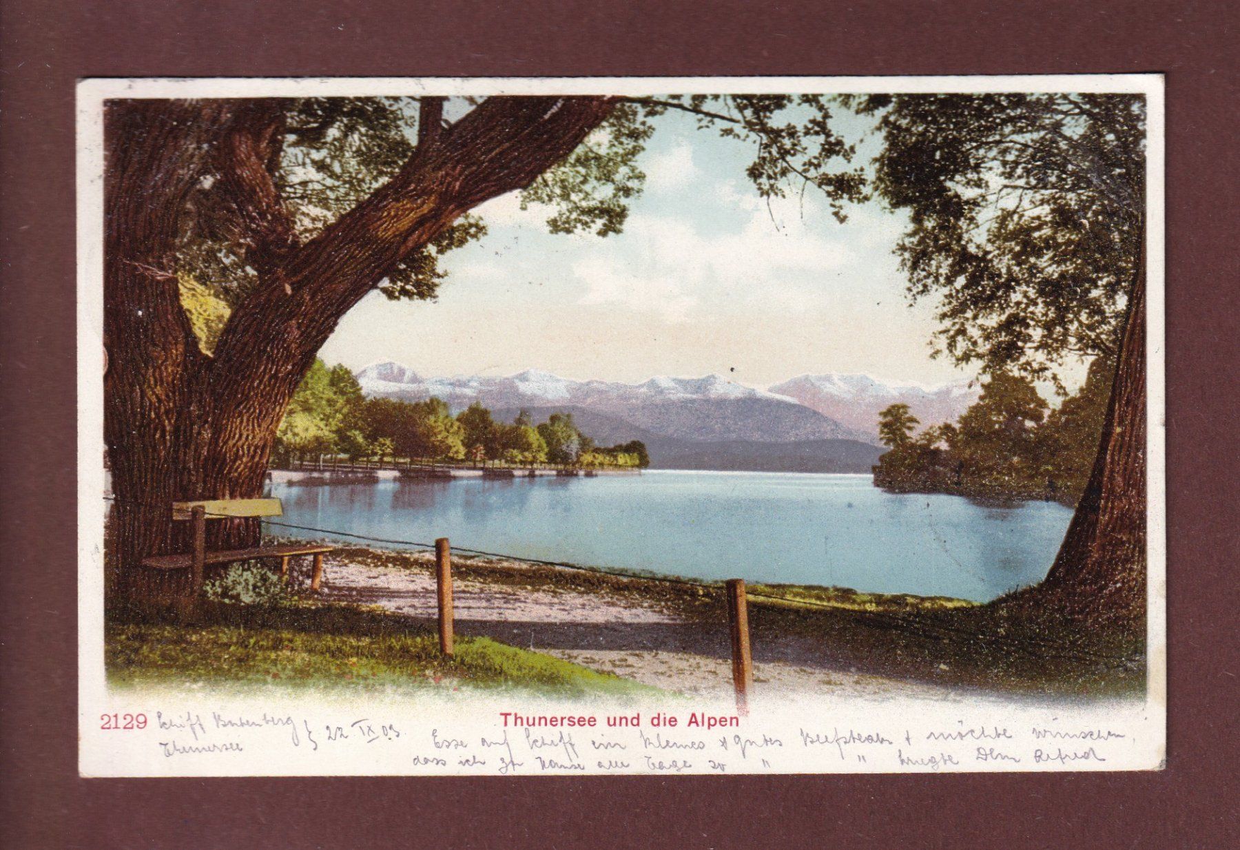 Cartoline postali: THUNERSEE und die Alpen - 1903 – Usato da Pully venduto da nicecards