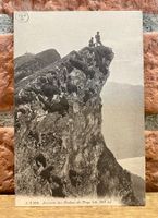 Sommets des Rochers de Naye - Belebt