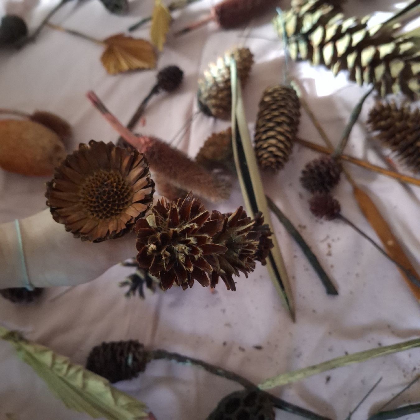 Alle Dekorationen: Floristik Deko, Trockenblumen – Gebraucht aus Winterthur von Goldpipau 8