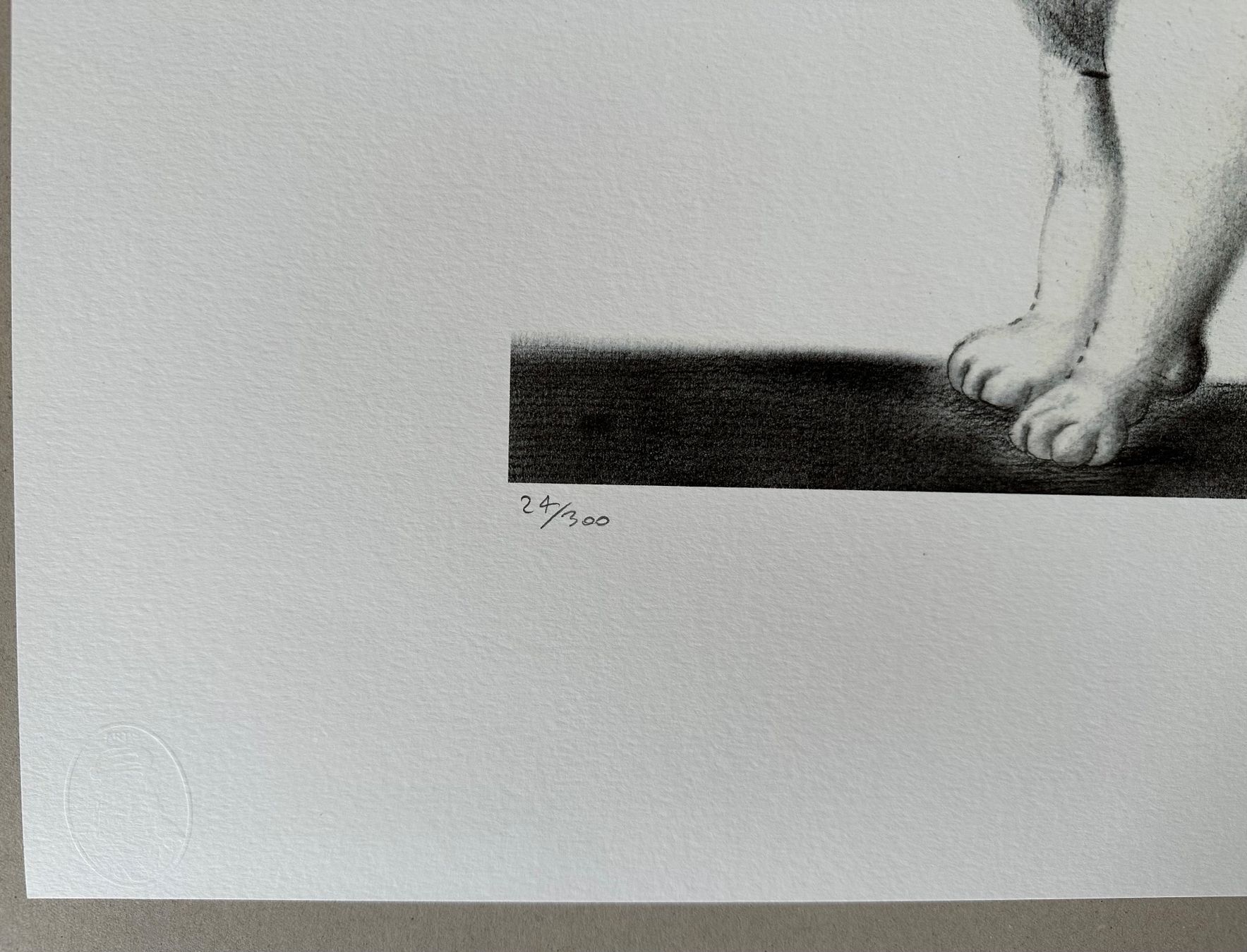 Posters & Illustrations: Fernando Botero: Dog 24/300 – Neuf (Voir description) à Meilen par Smgdesign 1