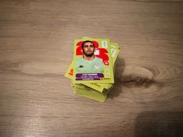 PANINI SET 250+ Bilder