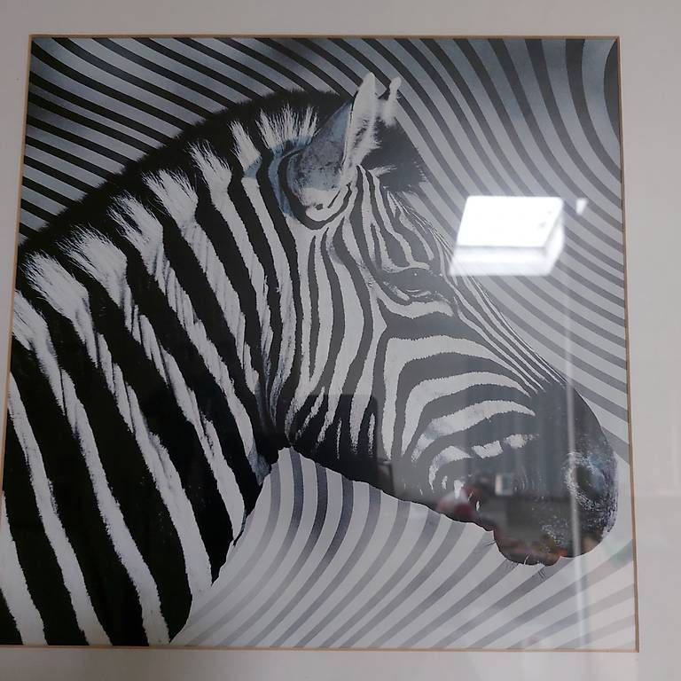 Posters & Illustrations: 3 Bilder – D'occasion à Bellikon par Anithom 3