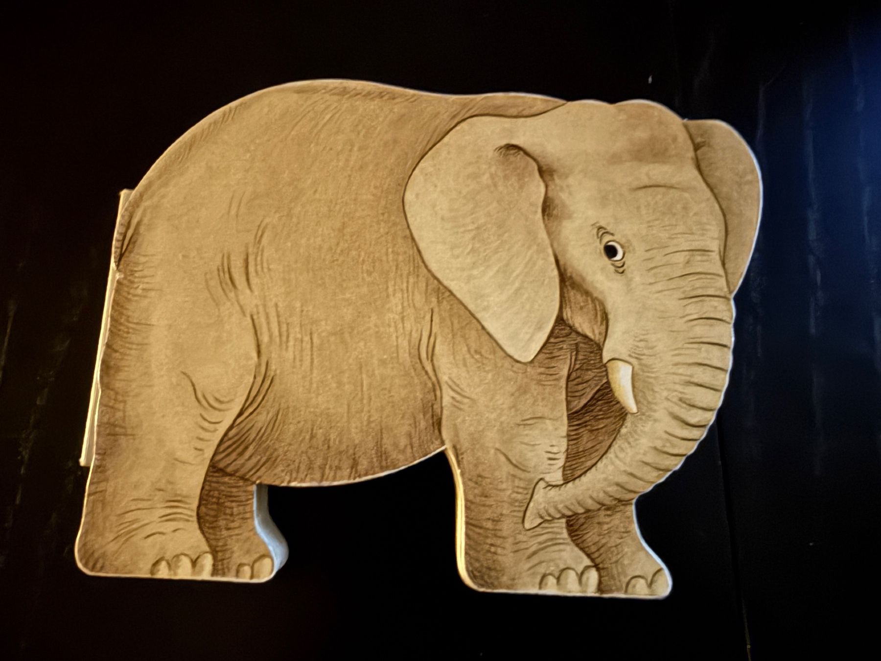 Libri: Elefant Kinderbuch "Ein Tag im Leben einer Elefantentante" – Usato da Erstfeld venduto da Uhu1980