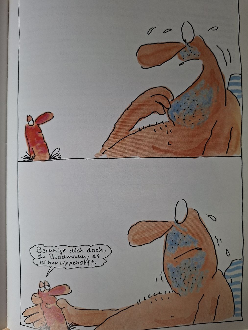 Fumetti: Lustiges Penis Comic – Usato da Schwanden Sigrisw venduto da Wibe81 5