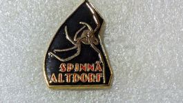 Ansteckpin 169: Spinnä Altdorf
