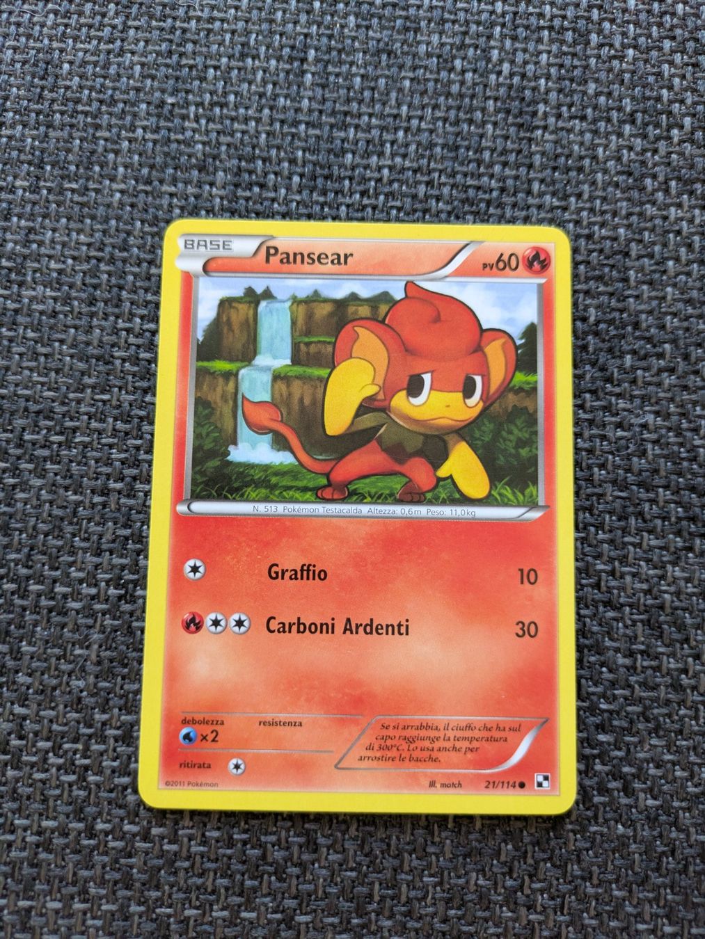 Pokémon Carte collezionabili: PANSEAR, BLACK & WHITE, BLW21, COM, 2011, ITA, GD – Usato da Losone venduto da AlpineLayer