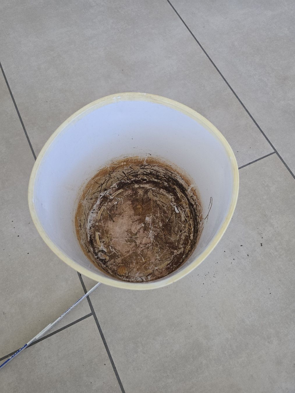 Pots de fleurs: Luwasa Blumentopf – D'occasion à Rickenbach b. Wil par Kth_v8 1