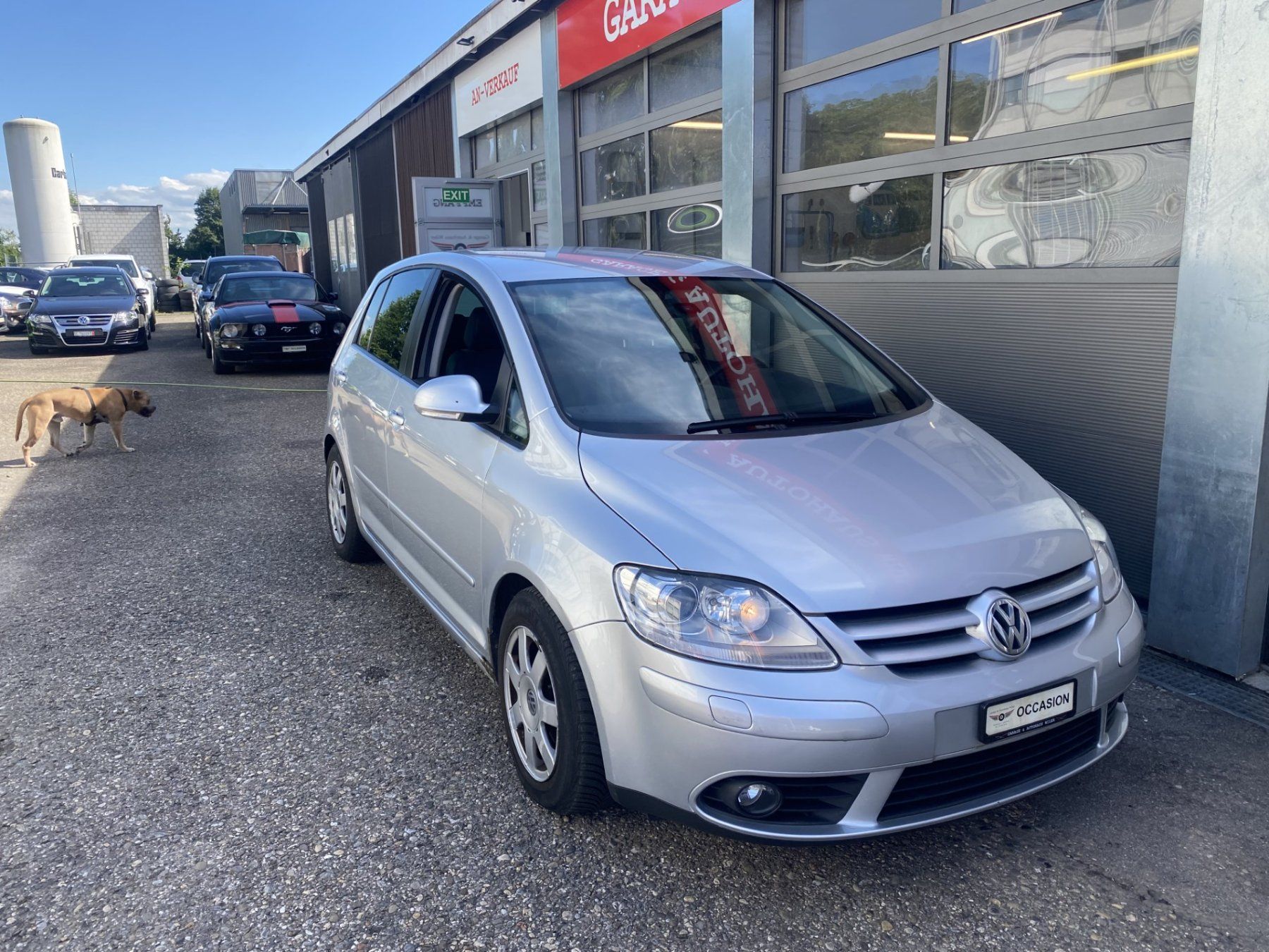 VW Automobili: VW Golf Plus 2.0 TDI Comfortline – Usato da Biel/Bienne venduto da AS24 2
