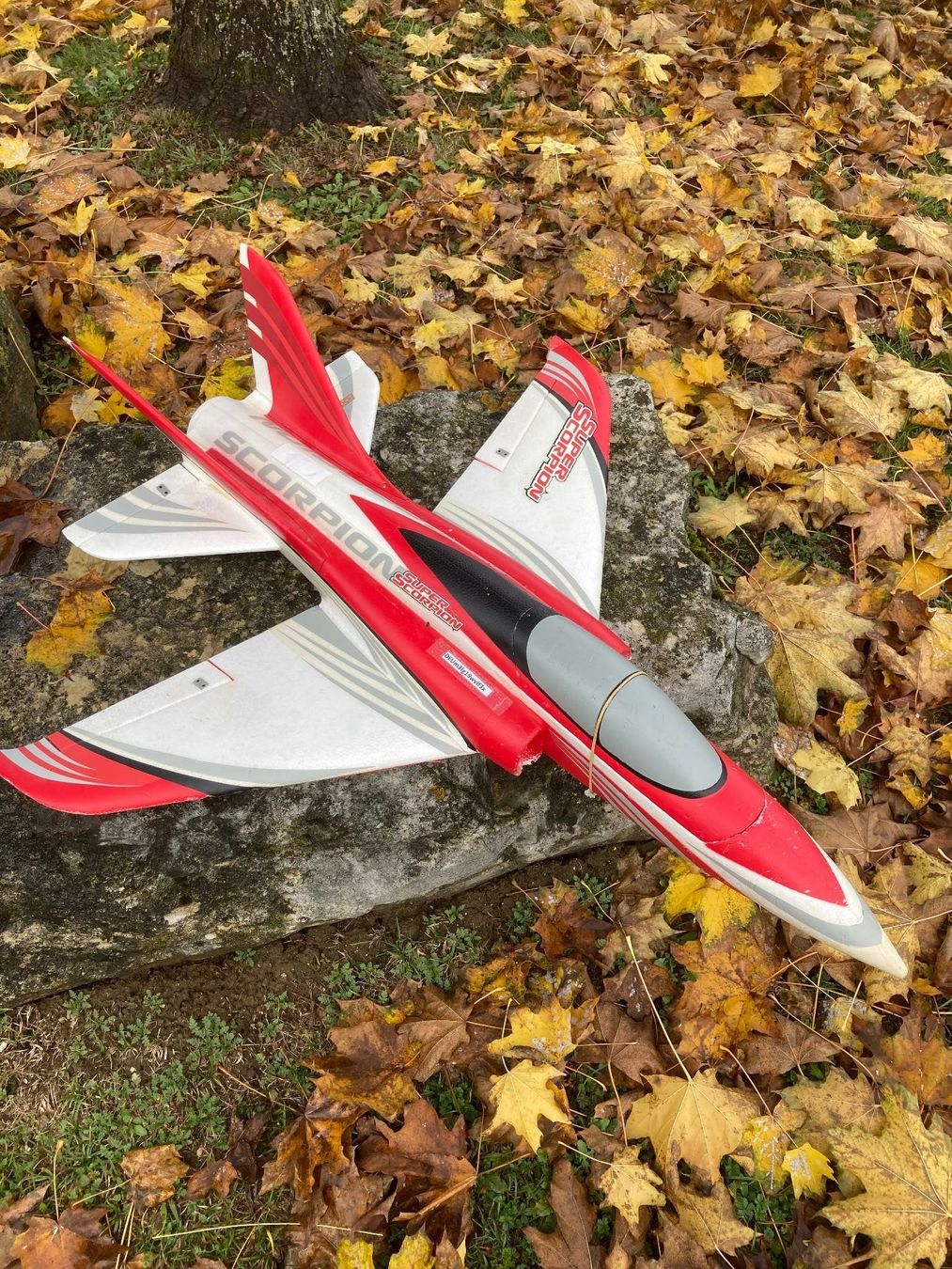 FMS Modellismo RC: Super Scorpion Jet,  830mm – Usato da Schaffhausen venduto da Gloeoenli