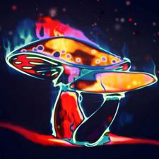 Profile image of MushroomDesign