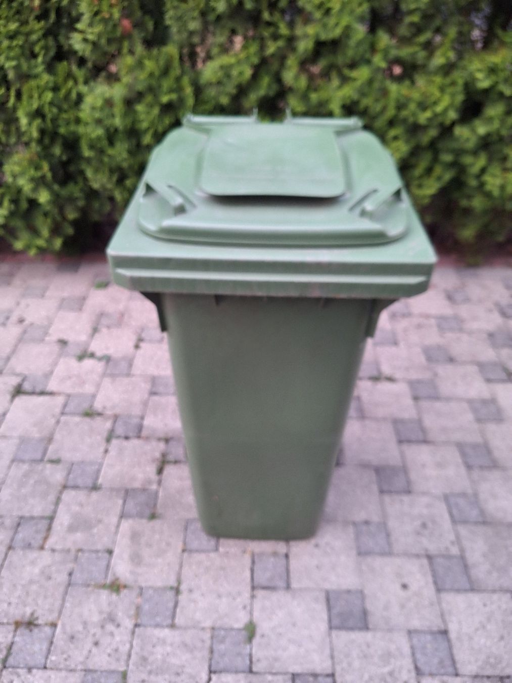 Korpus: Abfallcontainer Schäfer 140L / 70 kg – Gebraucht aus Rickenbach b. Wil von joeletaxi1954 5