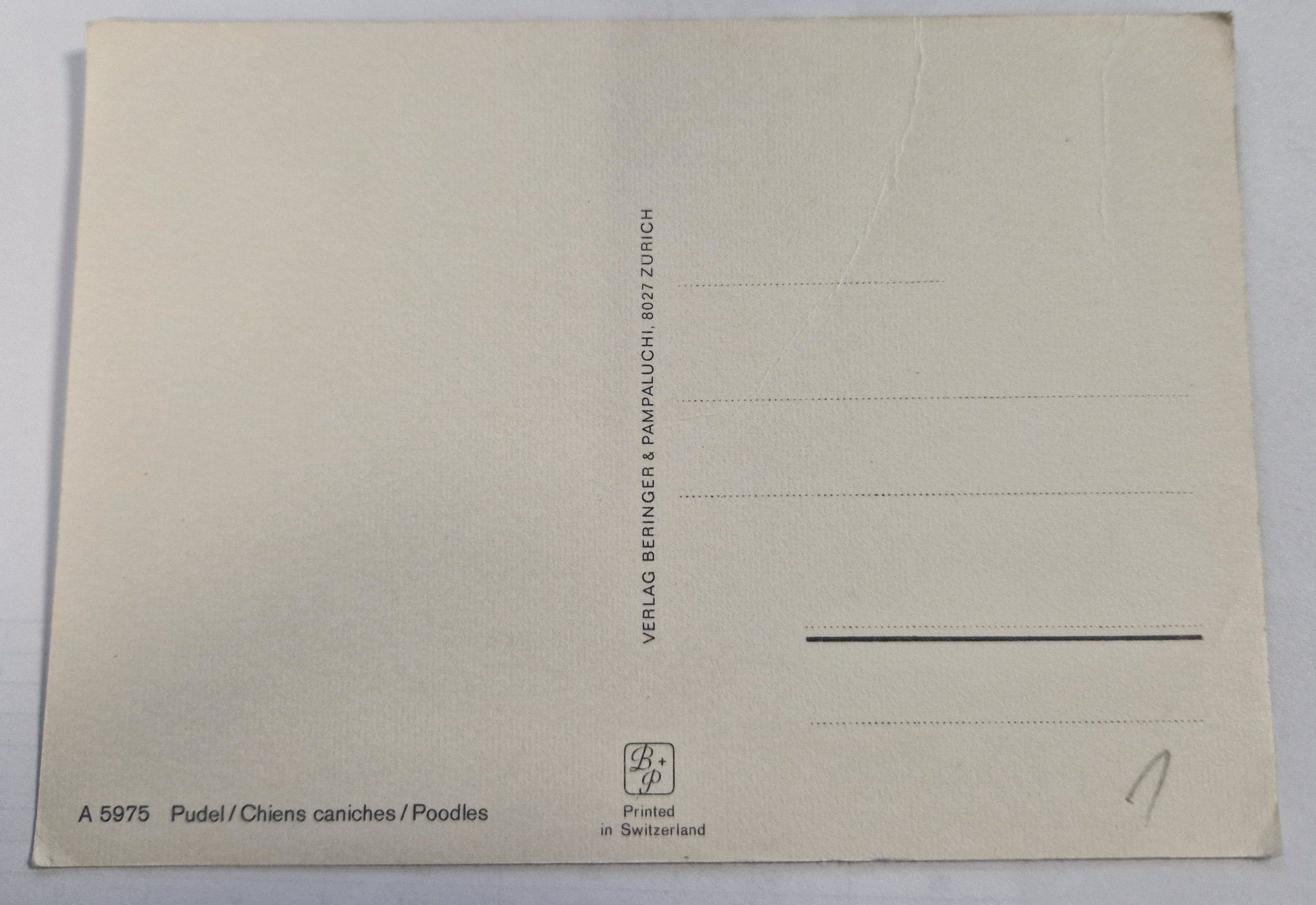 Cartoline postali: Pudel Trio Vintage top – Nuovo (secondo la descrizione) da Melchnau venduto da Arthurius 1