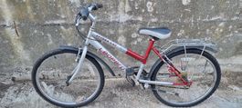 5 Stück Kinder Velo für Export