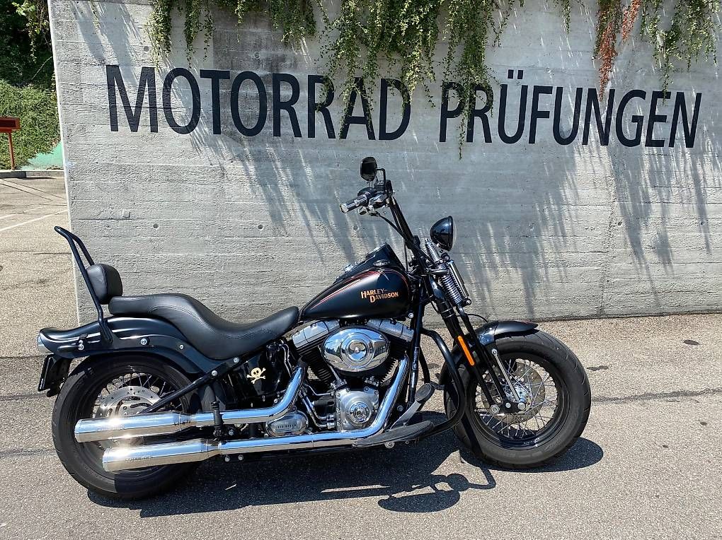 Chopper: Cross Bones Harley Davidson Springer Softail FLSTSB  – Usato da Basel venduto da Gardusi57 4