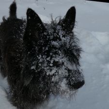 Profile image of Sorbas2