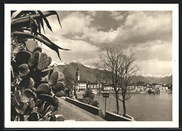 Ansichtskarten: AK Ascona, Vegetazione – Gebraucht aus Berlin von bartko-reher