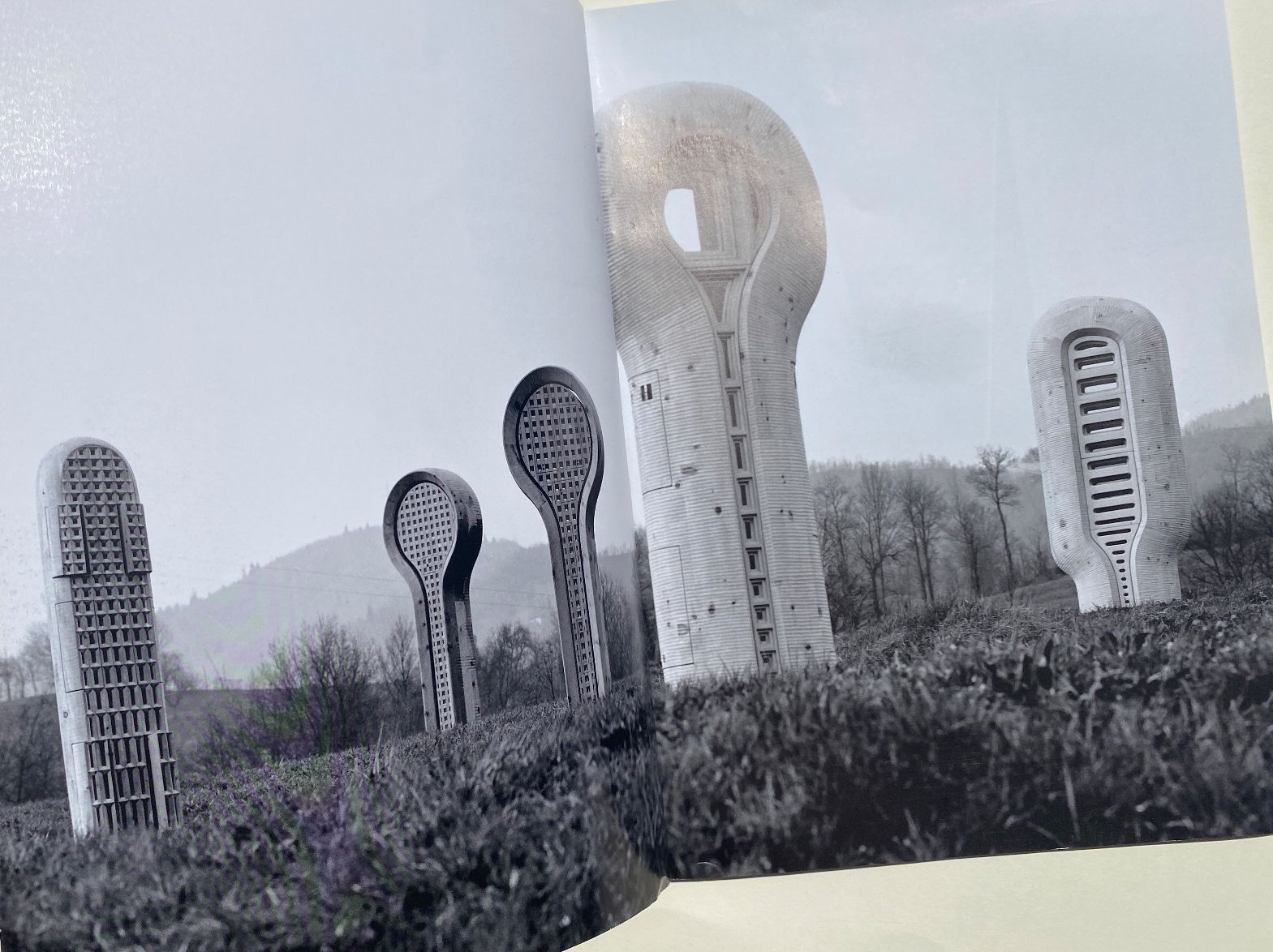 Bücher: Rare TAJAN "Nature & Architecture" Book, Fall Reading! – Gebraucht aus Zürich von lesgarcons 1