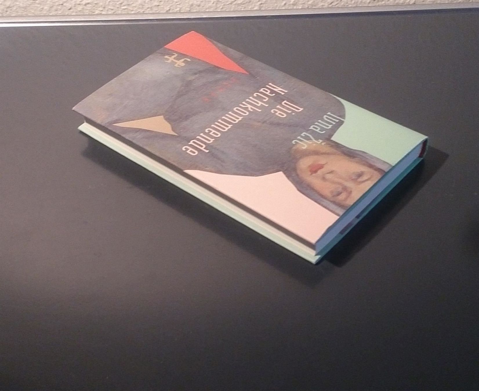 Libri: Die Nachkommende von Ivna Žic – Usato da Dübendorf venduto da Povo 3