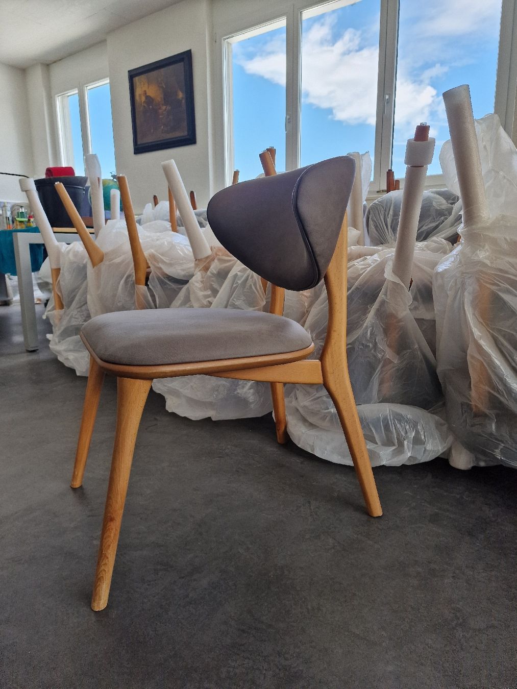 Sedie: 12 Stk Stuhle im modernen Design – Nuovo e nell'imballaggio originale da Tübach venduto da bau_tr27 5
