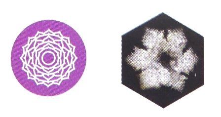 Bicchieri: TC Mythos Becher - Chakra Set – Nuovo e nell'imballaggio originale da Mauren venduto da Yeelen 8