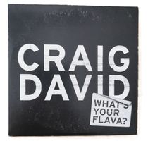 Craig David – What's Your Flava?  (CD-Single)
