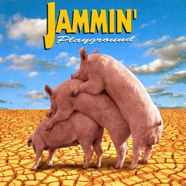 CD: Jammin' – Playground – Usato da St.Gallen venduto da jalamusic