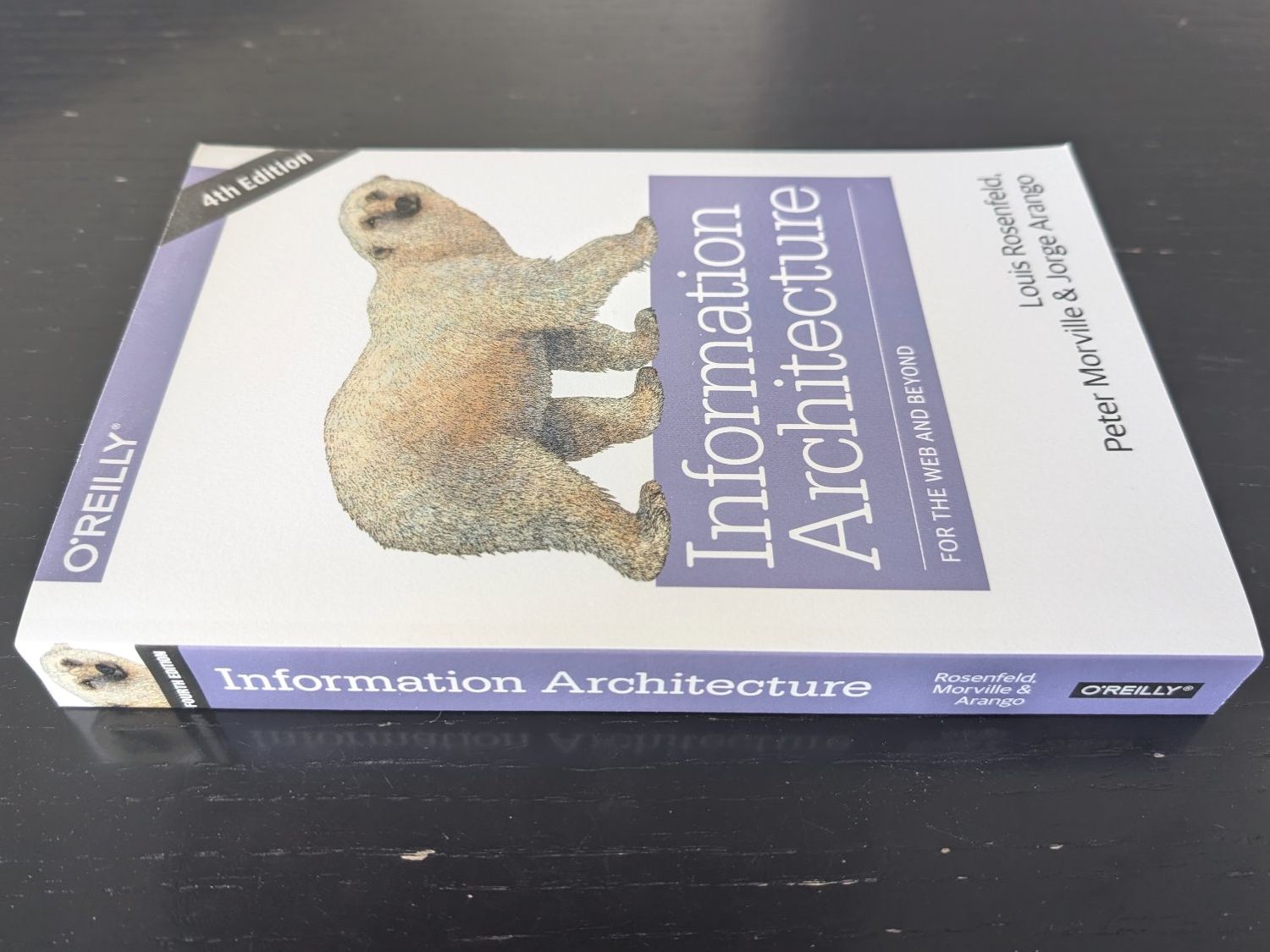 Bücher: Information Architecture: For the Web and Beyond (O'Reilly) – Gebraucht aus Thalwil von sultan03 3