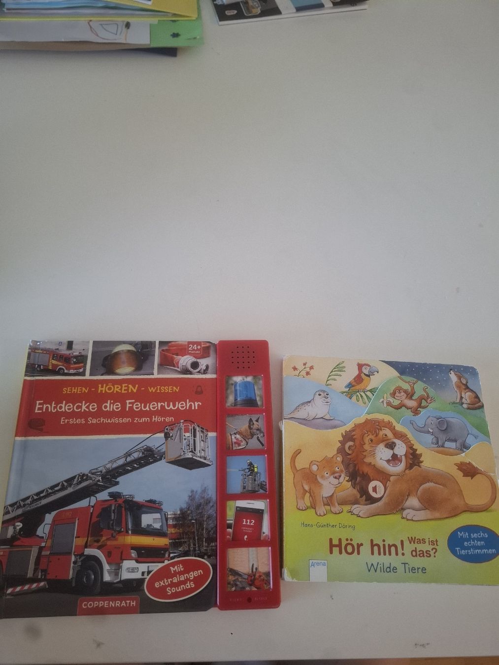 Bücher: Bilderbücher mit Musik 2x – Gebraucht aus Zürich von sil_2yhh