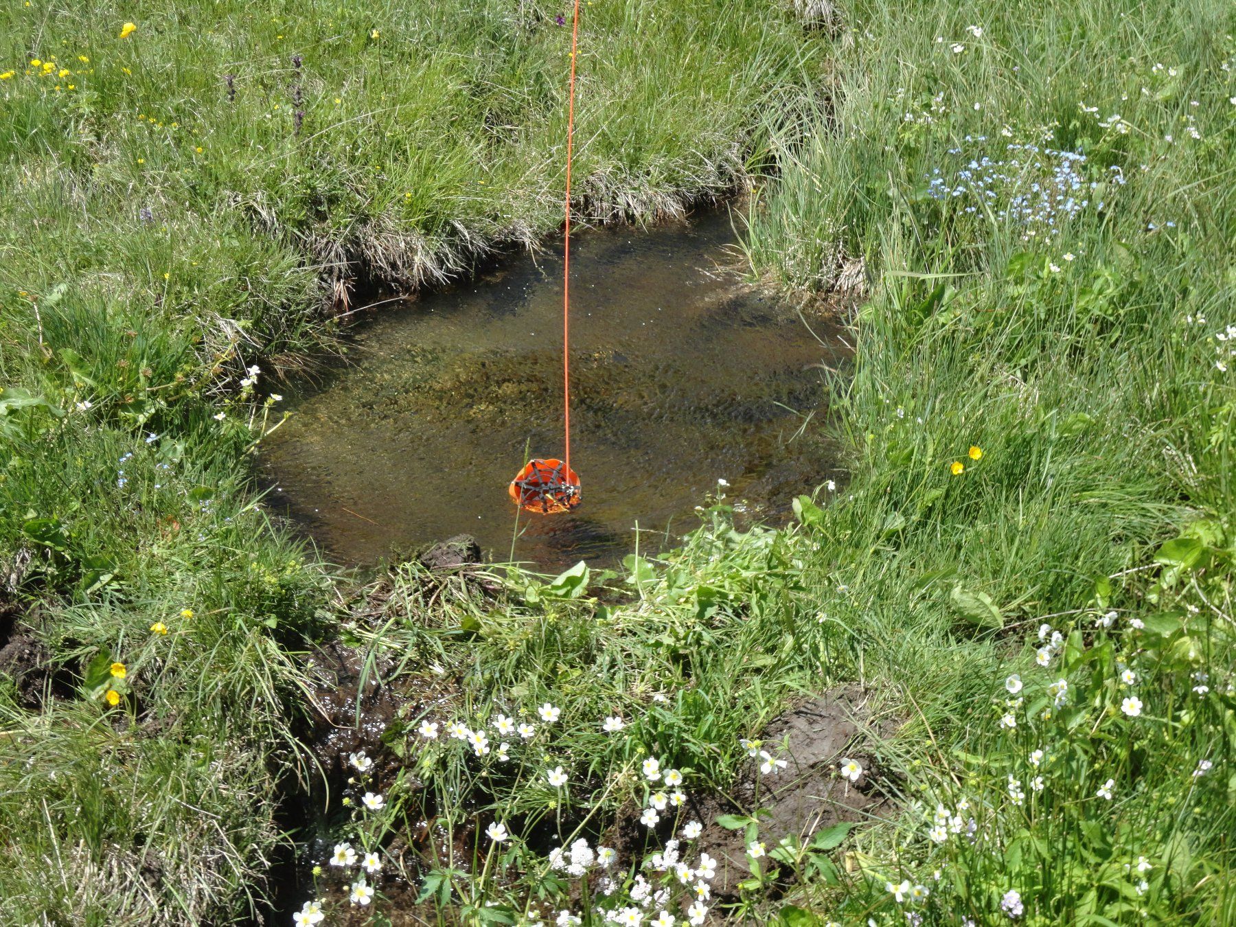 Scale Löschwasser Behälter «Bambi Bucket» RC Helikopter 2 L (Neu und ...
