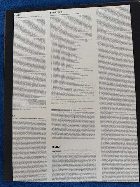 Foto & Immagini: BILD TIBETISCH / CHINESISCH 40 x 50 – Usato da Honau venduto da Ritika 6