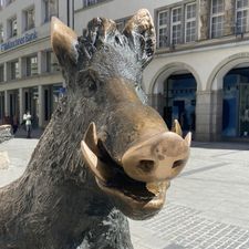 Profile image of DonFredi