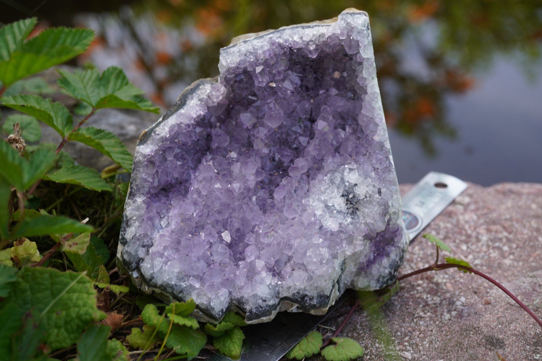 Minerali & Pietre curative: Amethyst Drusen Stück  ca 9cm x 10cm    no1 – Nuovo e nell'imballaggio originale da Eschenbach SG venduto da topstone 7