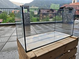 Auqarium Züchterbecken 60x30x30
