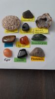 10er Set Trommelsteine mit seltenem Vivianit Set 52