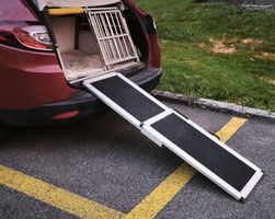 Hunderampe Aluminium zusammenschiebbar
