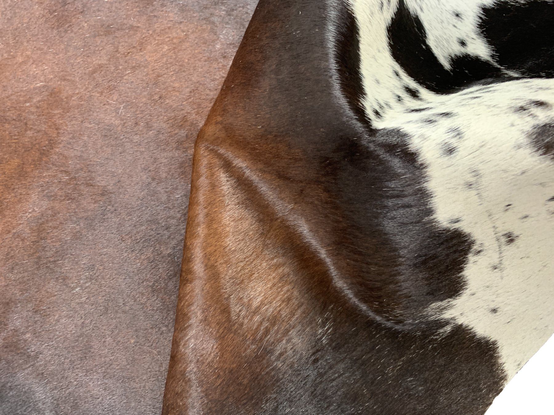 Tappeti: echtes Kuhfell Teppich exotic tricolor – Nuovo e nell'imballaggio originale da Arbedo venduto da patagonialeatherrugs 1