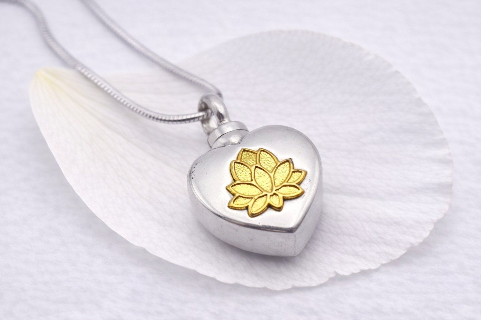 Ciondoli: Ascheschmuck / Urne / 925 Sterling Silber – Nuovo e nell'imballaggio originale da Menziken venduto da Zyropa