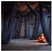 Tissus: durchsichtiger Stoff Halloweendeko – Neuf (Voir description) à Wangs par Manda30